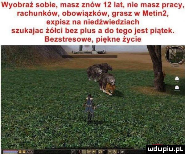 wyobraź sobie masz x-ów    lat. nie masz pracy rachunków obowiązków grasz w metinz. expisz na niedźwiedziach szukajac żółci bez plus a do tego jest piątek. bezstresowe piękne życie