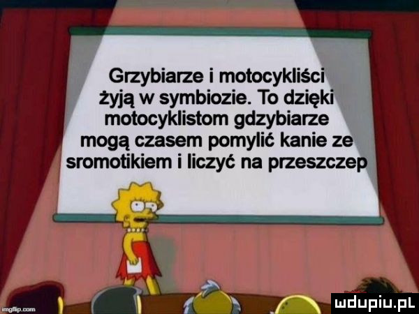 grzybiarze i motocykliścf żyją w symbiozie. to dzięki motocyklistom grzybiarze mogą czasem pomylić kanie ze sromotikiem i liczyć na przeszczep m f