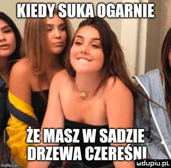 mmmmm   ie msz w sanzie nanwn ﬂleiiesiii