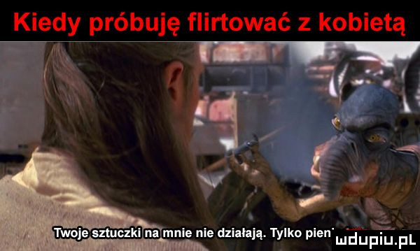 kiedy próbuję flirtować z kobietą      fr. v. r  twoje sxluczki na mnie nie dzlabają. tylko plen ludupiu. pl