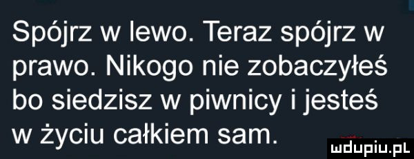 spójrz w lewo. teraz spójrz w prawo. nikogo nie zobaczyłeś bo siedzisz w piwnicy i jesteś w życiu całkiem sam. mam pl