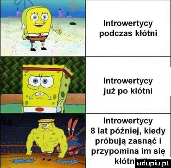 introwertycy podczas kłótni introwertycy już po kłótni introwertycy   ikt później kiedy próbują zasnąć i przypomina im się kłótn