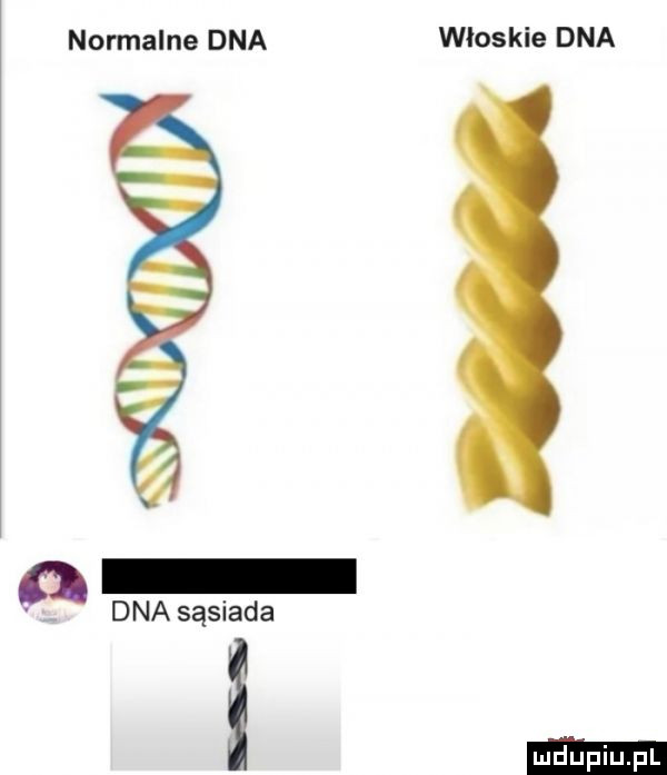 normalne dna włoskie dna a dna sąsiada