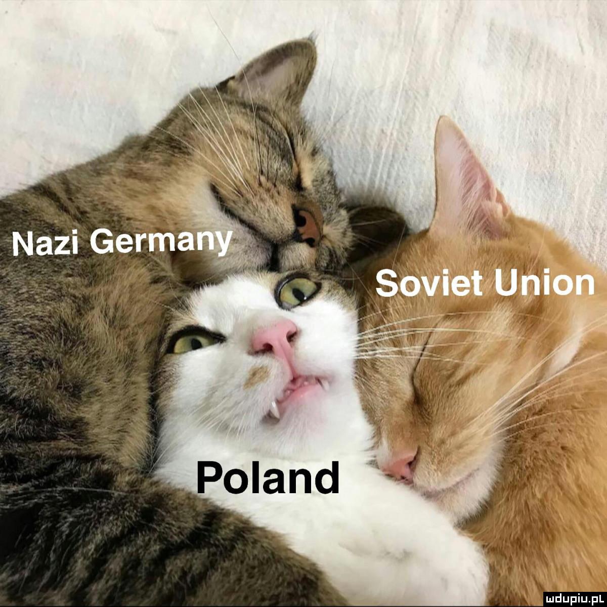 Nazistowskie Niemcy, Związek Radziecki, Polska