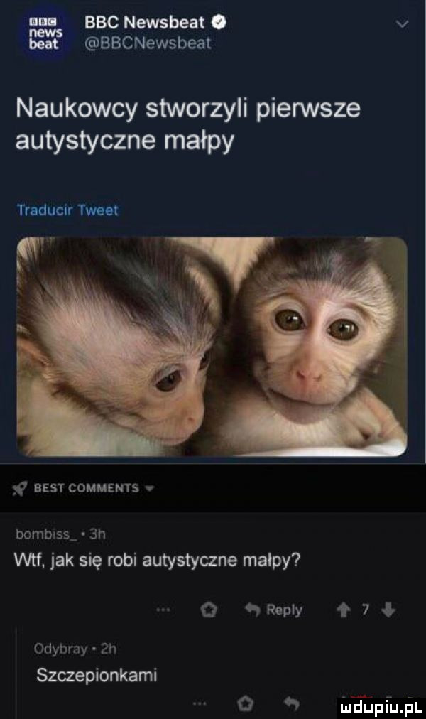 bbc newsbeat. v bbcnewsbeat naukowcy stworzyli pierwsze autystyczne małpy troducir twe. best comments v bombcss  h th jak się robi autystyane małpy   repry f   o odymmy  h szczepionkami o lea upfupl