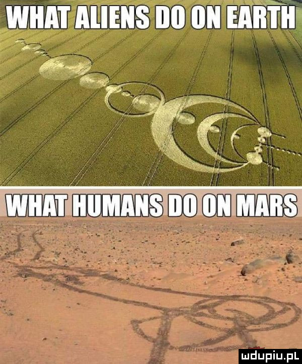 św ał wan amiens no on mm wm humans no on mans