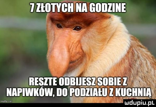 ilii iyieii ilii iililllliie j. reszte iiiibiiesisiibie l n iiiipiwiiiiw ibl podziału l iiiiqiiiiiii ludupiu. pl