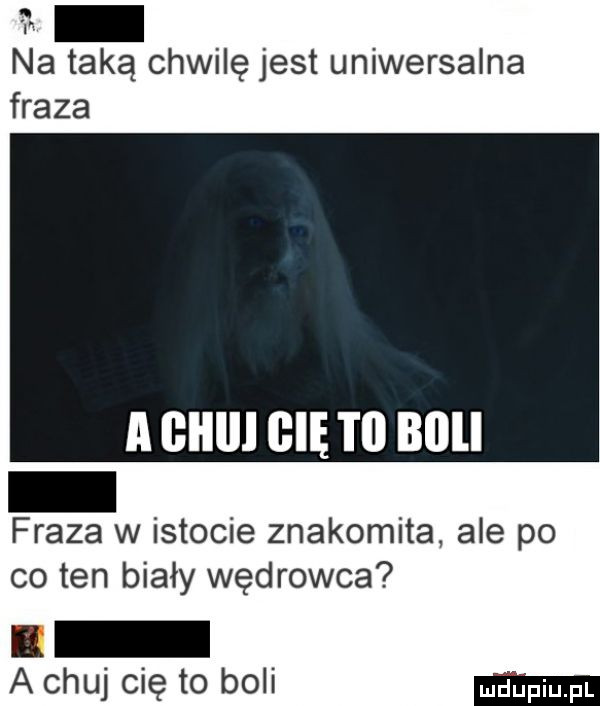 na taką chwilę jest uniwersalna fraza a glllll gnę i ll bell fraza w istocie znakomita ale po co ten biały wędrowca a chuj cię to boli