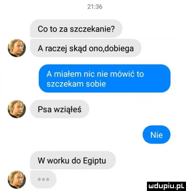 co to za szczekanie o a raczej skąd ono dobiega a miałem nic nie mównc to szczekam sobie psa wziąłeś w worku do egiptu w ludu iu. l
