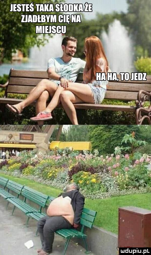 jesteś maimm   zmnmvm ehm   mieisgii k