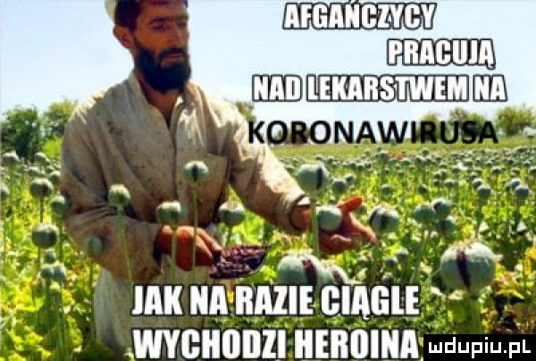 abakankami  . mk a bazie gizele wybiiiiiiii i ieriiina mdupiu l