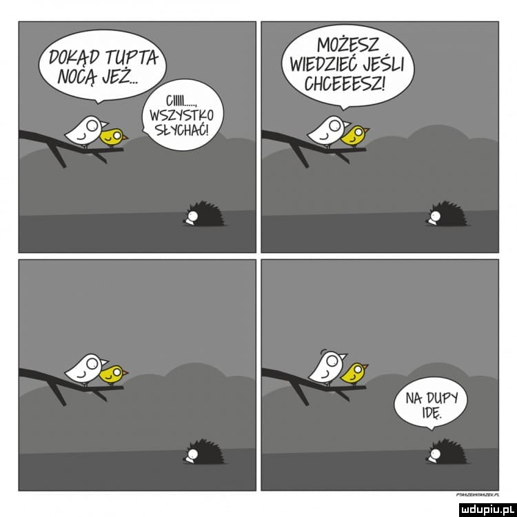 Dokąd nocą tupta jeż