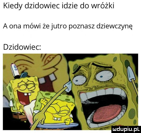 kiedy dzikowiec idzie do wróżki a ona mówi że jutro poznasz dziewczynę dzikowiec