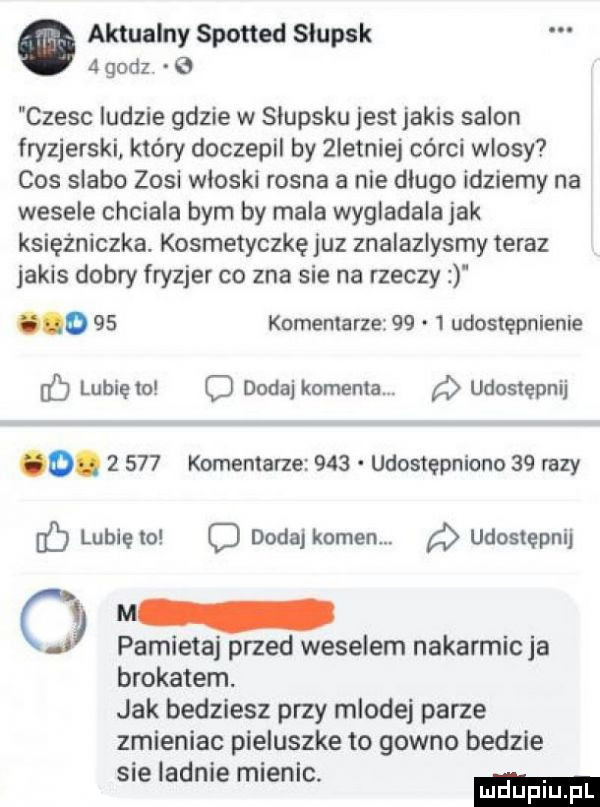 aktualny spotted stupsk   godz e czesc ludzie gdzie w słupsku jest jakis salon fryzjerski który doczepil by zletniej córci wlosy cos slabo zosi wioski rosna a nie długo idziemy na wesele chciala bym by mala wygladala jak księżniczka. kosmetyczkęjuz znalazlysmy teraz jakis dobry fryzjer co zna sie na rzeczy o    komentarze      udostępnienie ó lubię to c dodaj komenta. ó udostępnij o.       komentarze     udostępniono    razy lubię to c dodaj kamen udostępnij t m o pamietaj przed weselem nakarmic ja brokatem. jak bedziesz przy mlodej parze zmieniac pieluszke to gowno bedzie sie ladnie mienic. mduplu pl