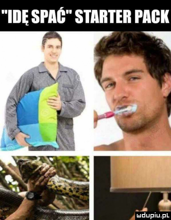 ilię spa starter park o maupiupl