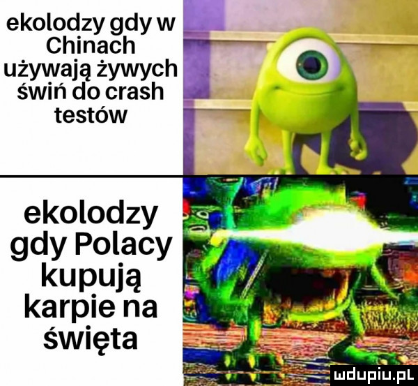ekolodzy gdy w chinach używają żywych świń do crush testów ekolodzy. gdy polacy. abakankami kupują karpie na święta
