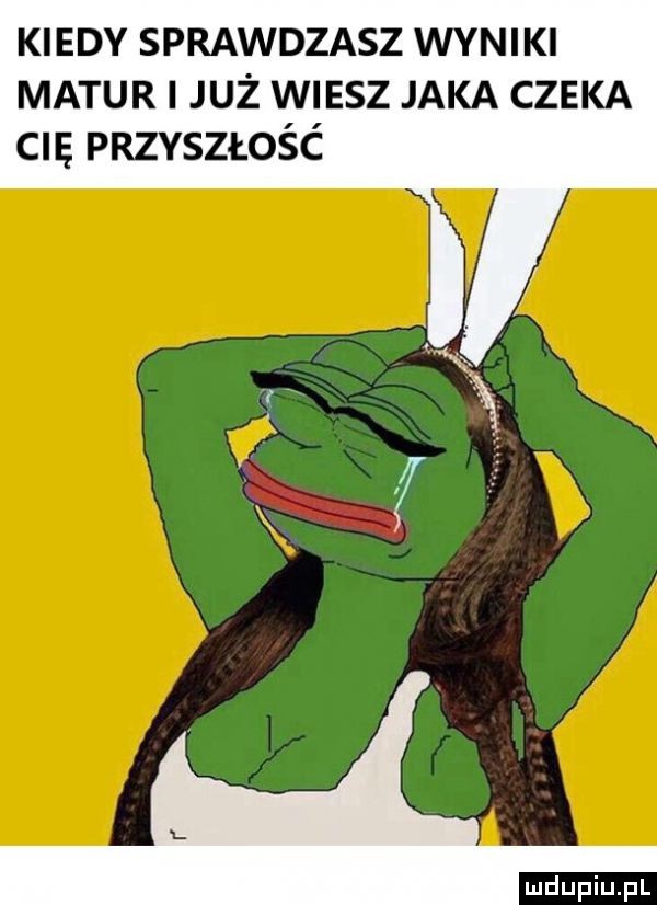 kiedy sprawdzasz wyniki matur i już wiesz jaka czeka cię przyszłość ludu iu. l