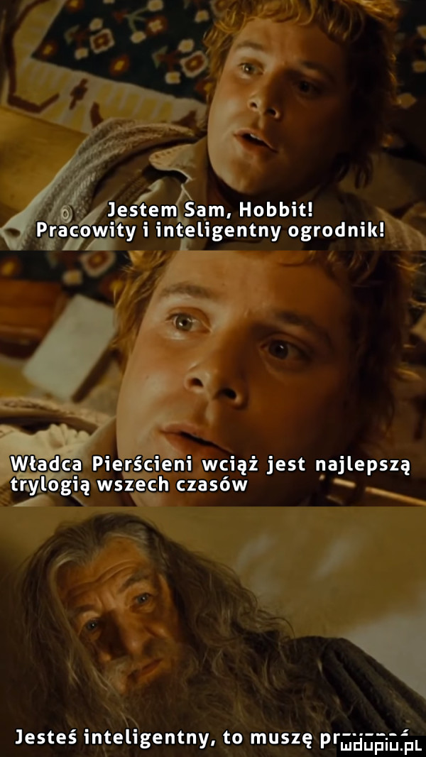 n jestem sam hobbit pra cowity i inteligentny ogrodnik wladca pierścieni wciąż jest najlepszą trylogię wszech czasów jesteś inteligentny. to muszę prﬁﬁﬁﬁiﬁsz