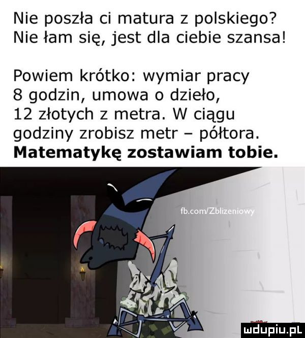 nie poszła ci matura z polskiego nie łam się jest dla ciebie szansa powiem krótko wymiar pracy   godzin umowa o dzieło    złotych   metra. w ciągu godziny zrobisz metr półtora. matematykę zostawiam tobie