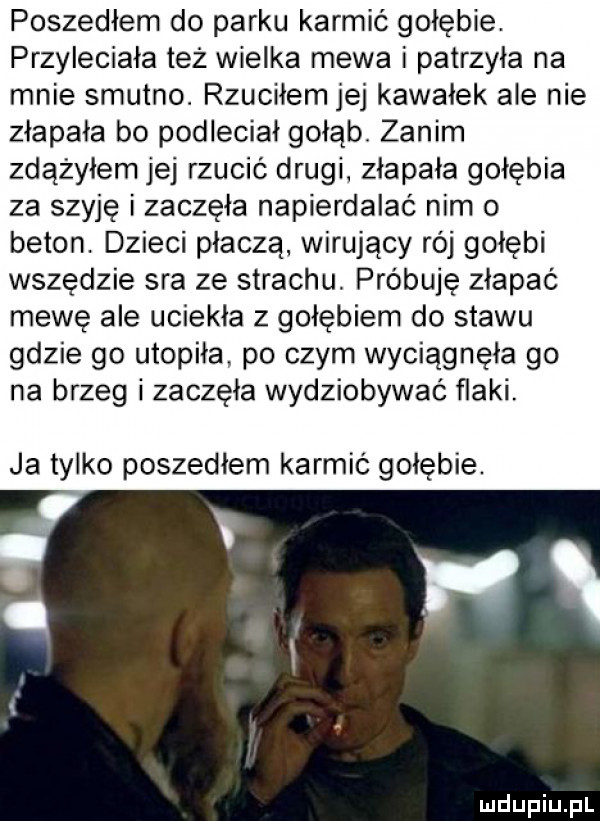 poszedłem do parku karmić gołębie. przyleciała też wielka mewa i patrzyła na mnie smutno. rzuciłem jej kawałek ale nie złapała bo podleciał gołąb zanim zdążyłem jej rzucić drugl złapała gołębia za szyję i zaczęła napierdalać nim o beton. dzieci płaczą wirujący rój gołębi wszędzie sra ze strachu. próbuję złapać mewę ale uciekła z gołębiem do stawu gdzie go utopiła po czym wyciągnęła go na brzeg i zaczęła wydziobywać flaki. ja tylko poszedłem karmic gołębie