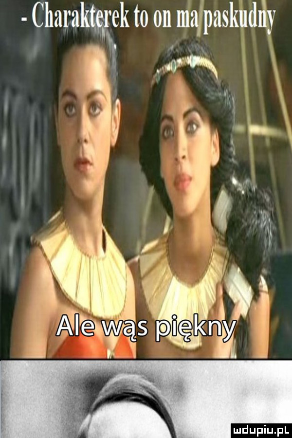 charaktęgek to on majpaskudńy i n i i c. ﬂaw a