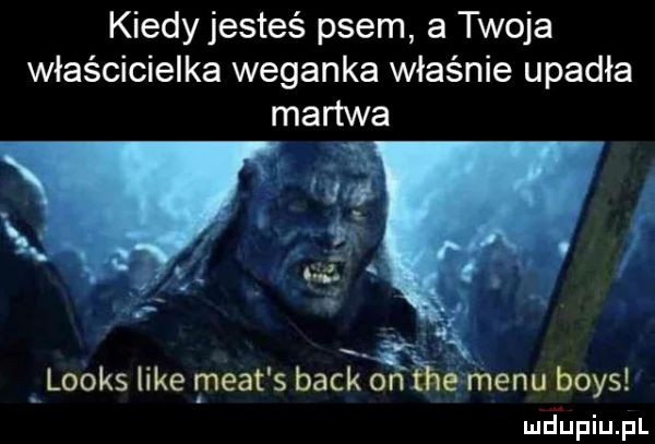 kiedy jesteś psem a twoja właścicielka weganka właśnie upadła. abakankami. looks like maat s beck on eee menu boks mfﬁpiupl
