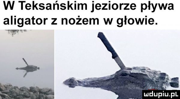 Teksas