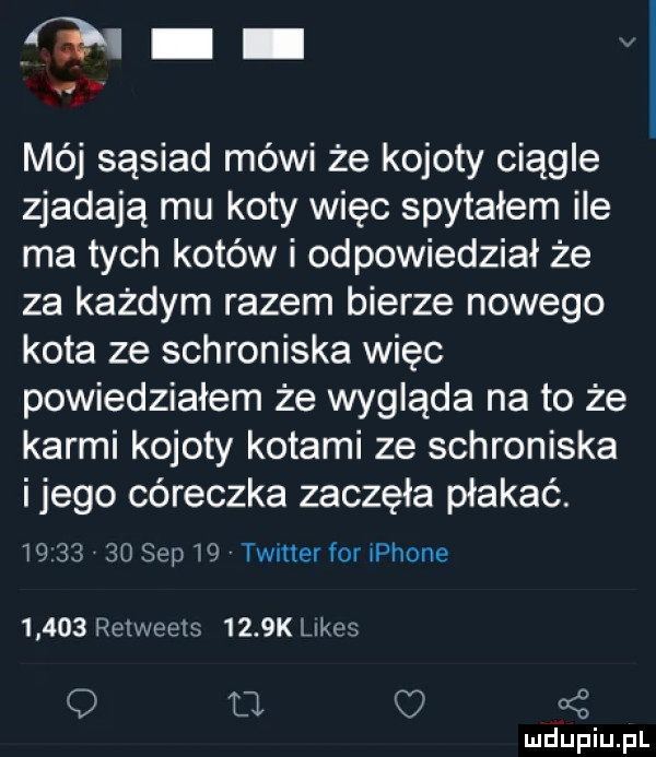 św mój sąsiad mówi że kojoty ciągle zjadają mu koty więc spytałem ile ma tych kotów i odpowiedział że za każdym razem bierze nowego kota ze schroniska więc powiedziałem że wygląda na to że karmi kojoty kotami ze schroniska ijego córeczka zaczęła płakać. w       sep if timer for płone       relweets     k limes q u