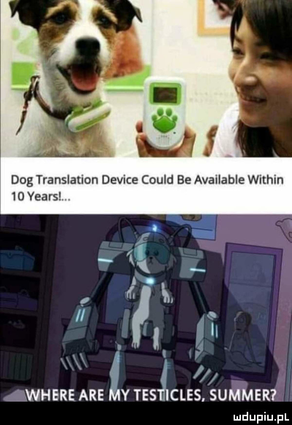 dog translation device could be available within    yeats.   x z   ąwhereare yves cles. sommer