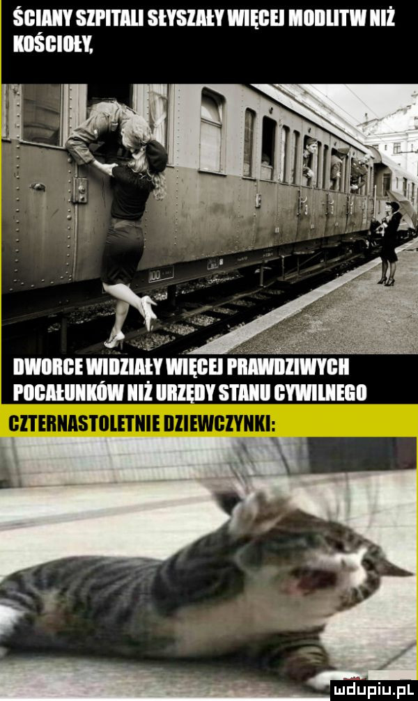 śgiiiy sępi i ibl slyslﬂly więgei iiiiiij i w iiż kiiśiiiiih muons w iiiiiify więch i ll vacuum iii iiiiieiiy stmiii gwiilieeii maudufiu fl