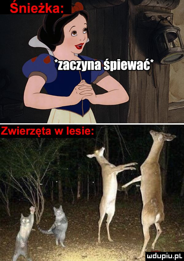 Zawsze