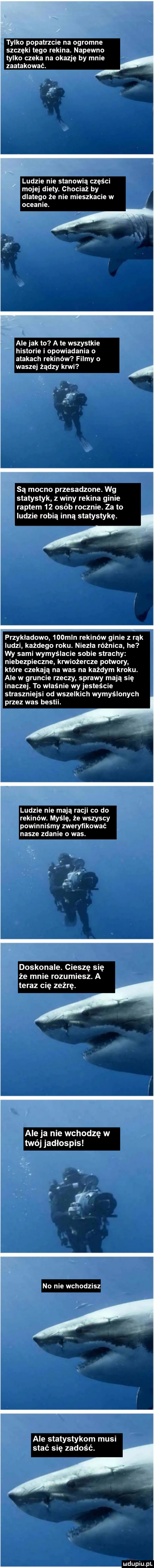 tylko popatrzciefna ogromne szczęki tego rekina. napewno tylko czeka na okazję by mnie zaatakować. ludzie nie stanowią części mojej diety. chociaż by dlatego że nie mieszkacie w oceanie. j ale jak to a te wszystkie historie i opowiadania o atakach rekinów filmy o waszej żądzy krwi leą mocno przesadzone. wg statystyk z winy rekina ginie raptem    osób rocznie. za to ludzie robią inną statystykę. przykładowo    mln rekinów ginie z rąk ludzi każdego roku. niezla różnica he wy sami wymyślacie sobie strachy niebezpieczne krwiożercze potwory które czekają na was na każdym kroku. ale w gruncie rzeczy sprawy mają się inaczej. to właśnie wy jesteście straszniejsi od wszelkich wymyślonych przez was bestii. ludzie nie mają racji co do rekinów. myślę że wszyscy powinniśmy zweryfikować nasze zdanie   was. doskonale. cieszę się że mnie rozumiesz. a teraz cię zeżrę. ale ja nie wchodzę w twéj jadłospis no nie wchodzisz ale statystykom musi stać się zadość