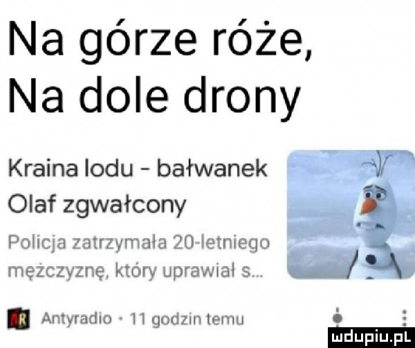 na górze róże na dole drony kraina lodu bałwanek olaf zgwałcony policja zatrzymała zo letniego mężczyznę który uprawiał s. abakankami antyradio    godzinnemu i