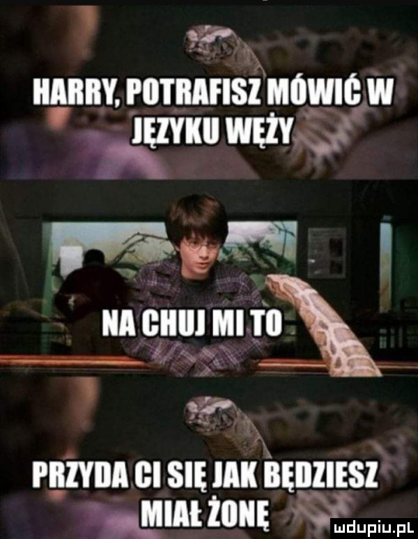 m iiiiiby. potrafisz home w.   my ﬁvﬁ iii iii iii iii. la ą ąąx o i iiżyiia cl się mk będziesz aut inn l