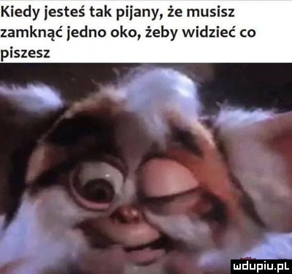 kiedy jesteś tak pijany że musisz zamknąć jedno oko żeby widzieć co piszesz i. a mdupiużpl