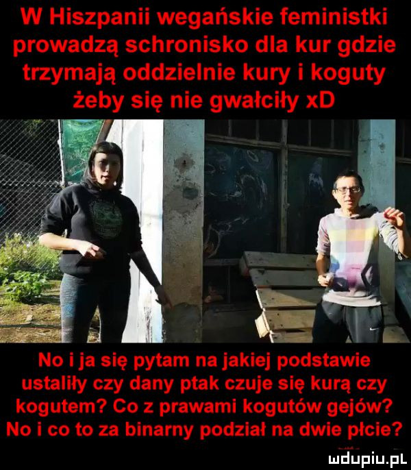 w hiszpanii wegańskie feministki prowadzą schronisko dla kur gdzie trzymają oddzielnie kury i koguty żeby się nie gwałciły xd no i ja się pytam na jakiej podstawie ustaliły czy dany ptak czuje się kurą czy kogutem co z prawami kogutów gejów no i co to za binarny podział na dwie picie