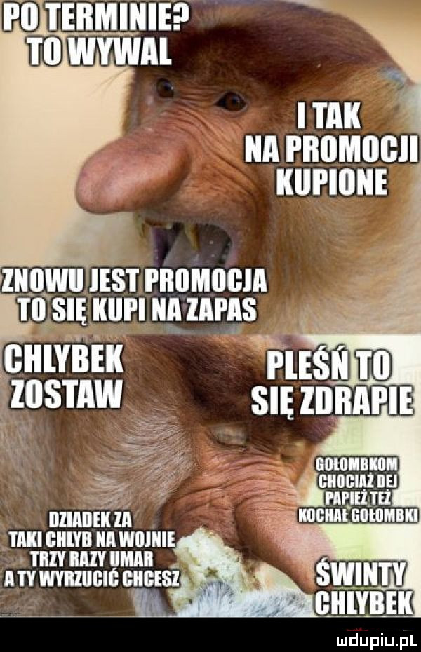 fai terminie h ziiowii ihs i i inimiigia fl t się kici i a zapas unum taki ieiilyb a minie i iiv hiv imaa a ty wﬂllllclﬂ giigesi