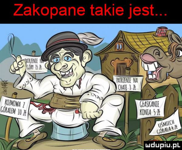wa mew   cmskap konia silli i mdupiulpr