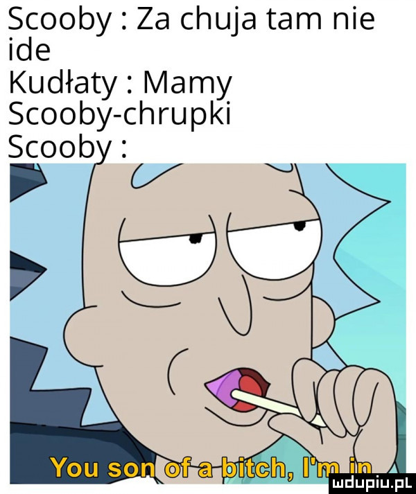 sdcooby za chuja tam nie e kudłaty mamy scoopy chrupki