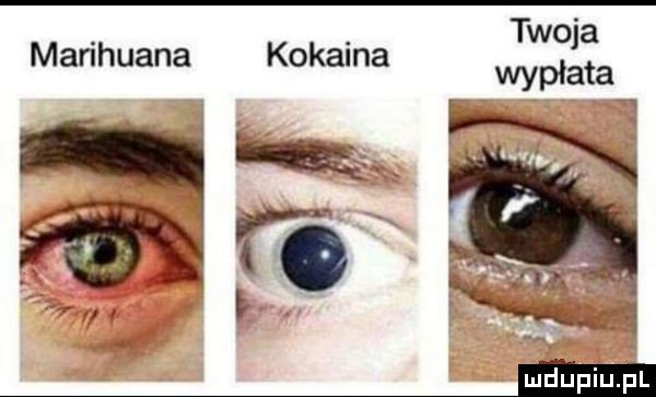 twoja wypłata marihuana kokaina
