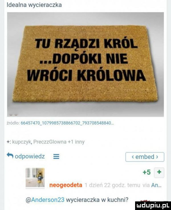ideała wycieraczka w. e vw jr  . neoueodela. wyoleraczka w kucam