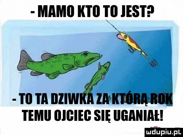 mamo i   l ll jest x v m ta iiiiwa km temij unum sięliganiat