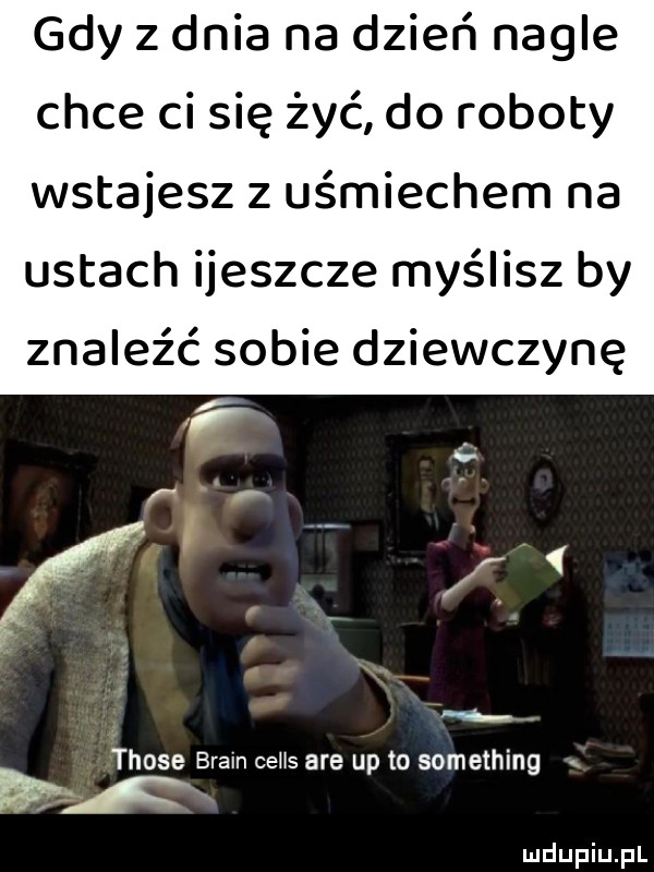 gdy z dnia na dzień nagle chce ci się żyć do roboty wstajesz z uśmiechem na ustach ijeszcze myślisz by znaleźć sobie dziewczynę