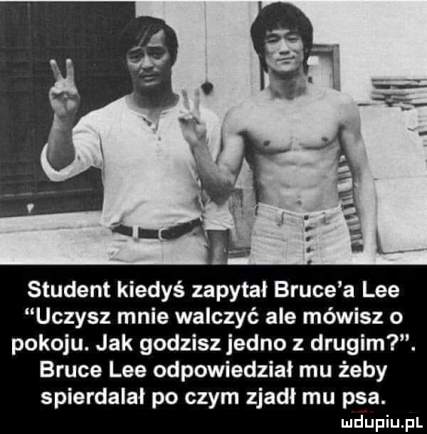 student kiedyś zapytał bruce a lee uczysz mnie walczyć ale mówisz o pokoju. jak godzisz jedno z drugim. bruce lee odpowiedział mu żeby spierdalał po czym zjadl mu psa