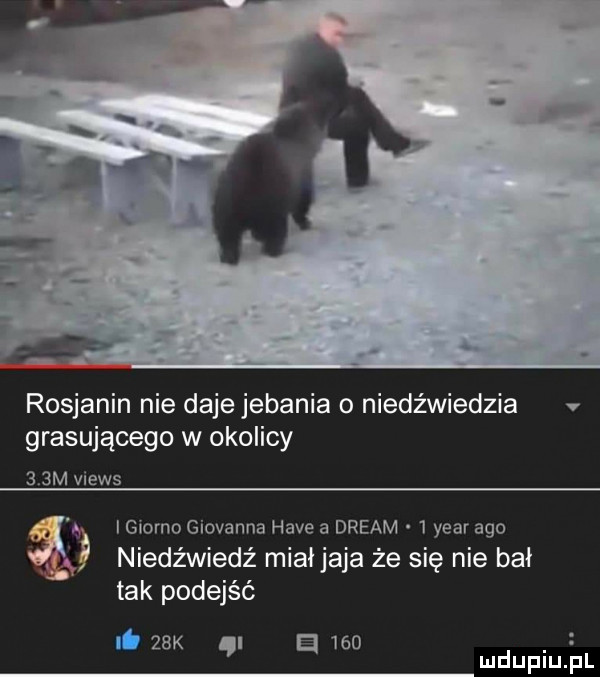 rosjanin nie daje jebania o niedźwiedzia grasującego w okolicy    m views igiorno giovanna hace a drgam   year ago niedźwiedź miaijaja że się nie bał tak podejść i   k ą a     ludupiujal