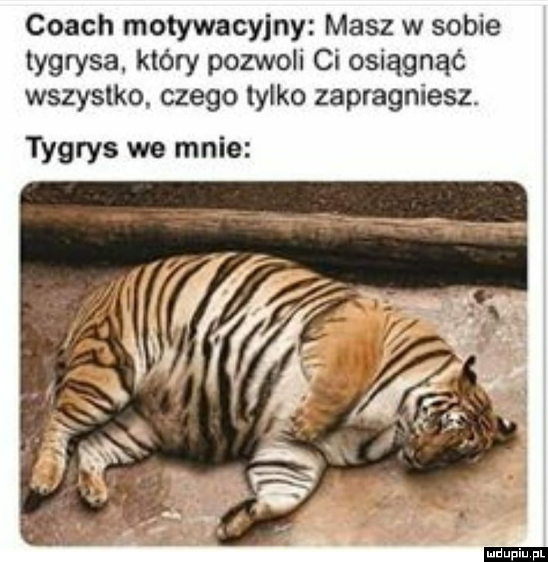 Coach motywacyjny