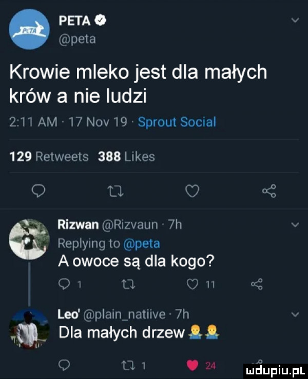 peta. peta krowie mleko jest dla małych krów a nie ludzi  n am    niv    sprout socjal     relweets     limes o o o rizwan a rizvaun  h replying to peta a owoce są dla kogo o o c h leo p amﬁatiive  h i dla małych drzewłł u i.    maupiupl