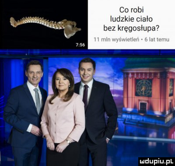 co robi ludzkie ciało bez kręgosłupa