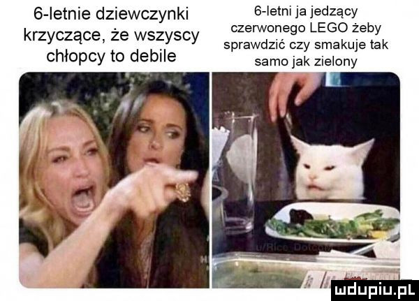 istnie dziewczynki krzyczące że wszyscy chłopcy to debile b istni ja jedzący czerwonego lego żeby sprawdzić czy smakuje tak samo jak zielony