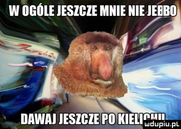 w      iesigie mnie nie ieee. abakankami  . iiawai leslﬂle i ll kięęiełłlfl